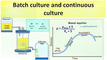 Batch culture and continuous culture | Equation for continuous culture