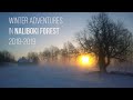 Winter adventures in Naliboki Forest