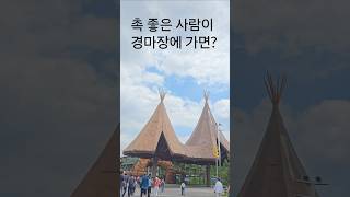 #처음 가본 과천 경마장#2000원배팅8배나옴 ㅋㅋ#할때마다 잘맞춤#새로운 재능 발견