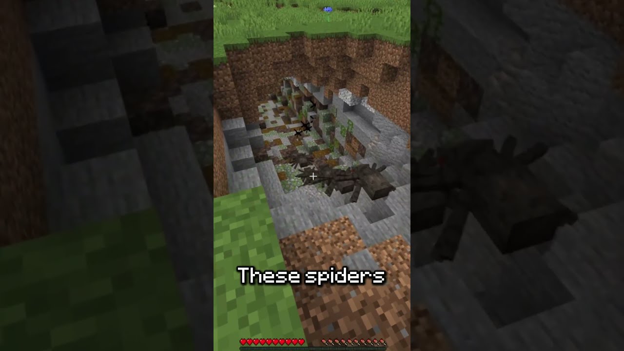 Minecraft But DONT CHECK THE SOUND