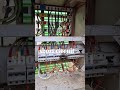 #shortcircuit #electricalindia #highvoltage ☠️🛠️⚡🪛💡