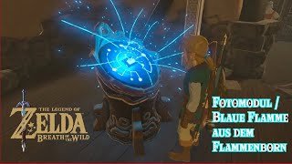 Zelda BOTW : So bekommt man das Basismodul / Fotomodul / Blaue Flamme aus dem Flammenborn