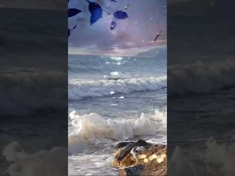 من روائع التلاوة كذلك كدنا ليوسف ما كان ليأخذ أخاه في دين الملك قرآن كريم راحة نفس اكسبلور 