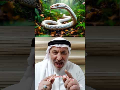 من يرى الافاعي بأحلامه كثيرا فليسمع هذا الكلام