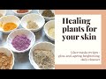 Ayurvedic healing plants for your skin  5 recipes for healthy skin
