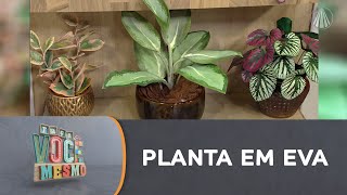 Decoração para sua casa: aprenda a fazer uma planta em EVA no estilo green bowl