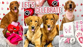 How To Celebrate Valentine's Day With Your Dog