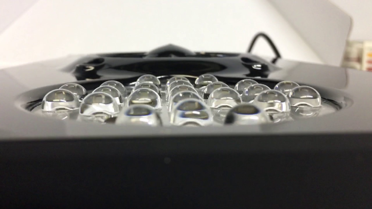 new lighting ecotech radion