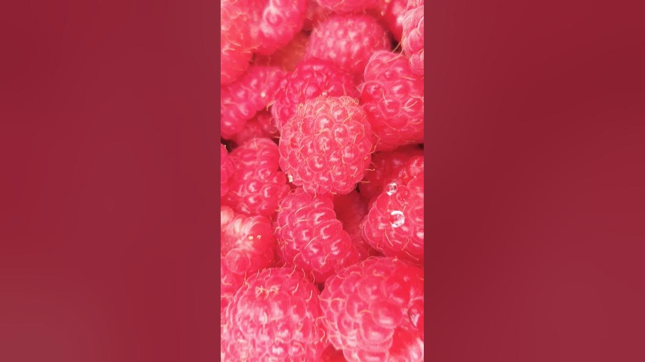 мммм нями нями - YouTube