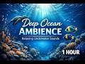 Deep Ocean Ambience 🌊 | Calm Underwater Sounds for Sleep, Focus &amp; Relaxation (1 Hour)