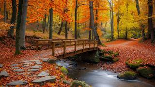 Nature Autumn Healing, Relaxing Piano Sounds 🍁 Heal Your Soul & Stop Overthinking