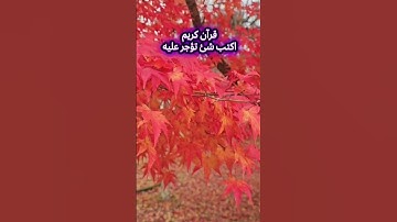 انشر القرآن الكريم #قران_كريم #قرآن #المصحف #لايك #تلاوة_خاشعة #الرحمن #سورة_البقرة #quran #اكسبلور