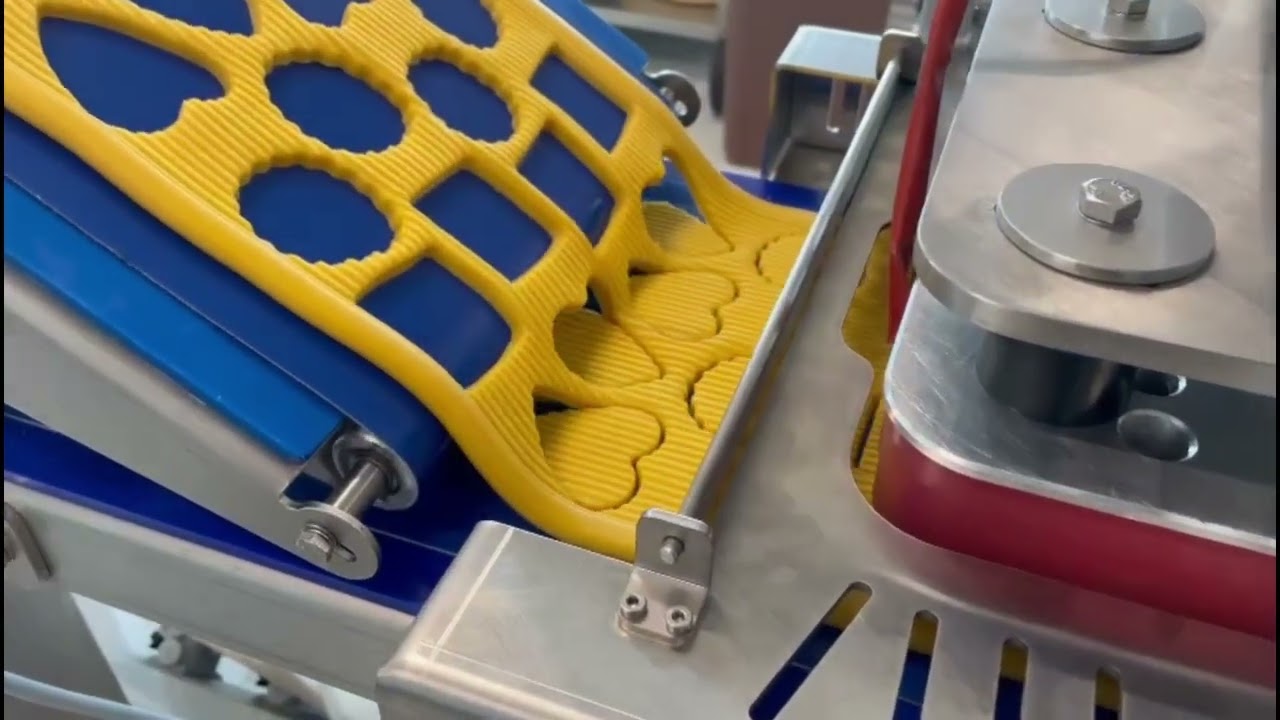 Sandore Extrusion Depositor System- Cookie with Top Pattern
