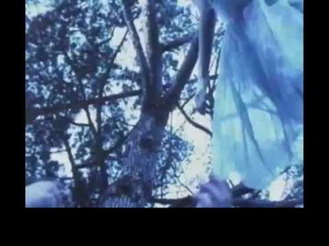 I could not ask for more Lyrics by Edwin Mccain