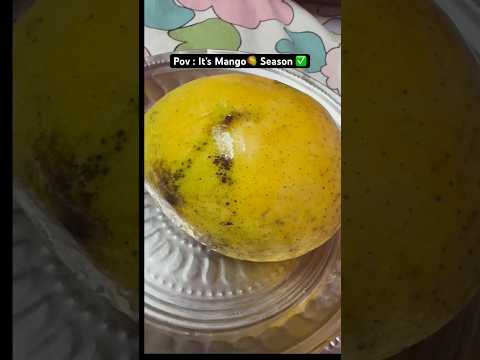 Mango 🥭 season starts..🤷🏻‍♀️💯#shorts#shortsfeed#mango#season#ytshorts#trending#highlights#foryou