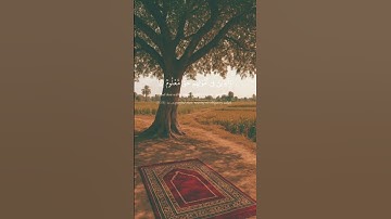 تلاوة رائعة تأخذك إلى عالم الخشوع الشيخ محمود البنا #تلاوة_خاشعة #تلاوة_مؤثرة #القرآن_الكريم