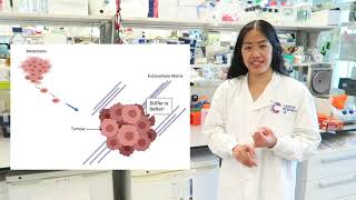 LifETIME Impact in 60 seconds - 2019 - Elaine Ma