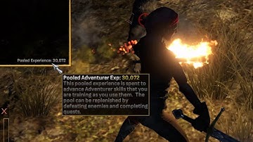 Experience Pool and Skills Tutorial - Shroud of the Avatar