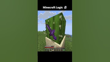 Minecraft logic 🗿