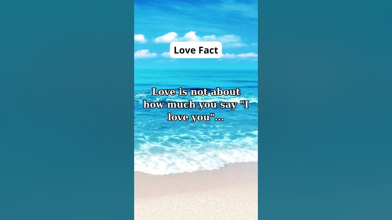 love-is-not-about-how-much-you-say-i-love-you-youtube