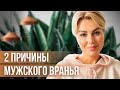 Почему Он Меня ОБМАНЫВАЕТ? Что Делать, Если Муж Постоянно Врёт?