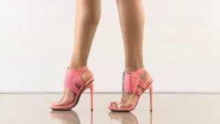 Revolution In Coral Privileged