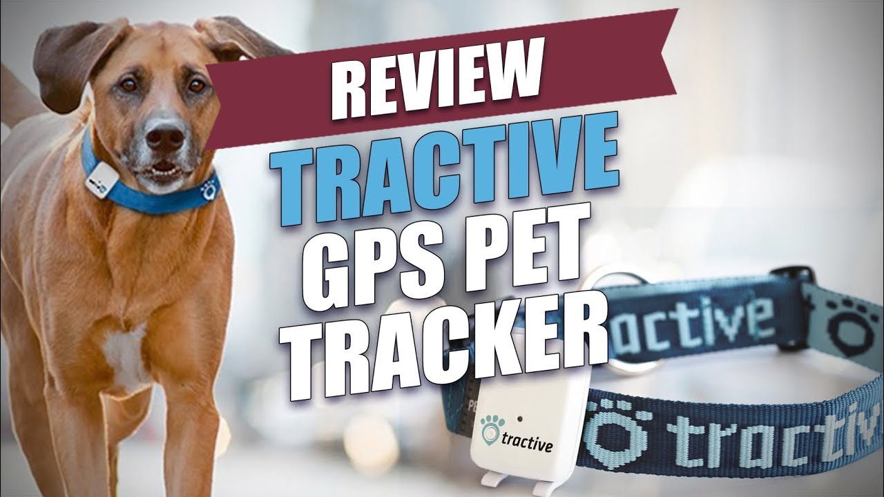 tractive cat tracker review