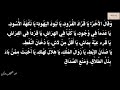 المقامة الدينارية