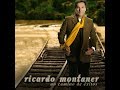 Ricardo Montaner - Procuro Olvidarte (Cover Audio)