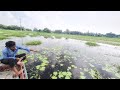 Best Amazing Video Hook Fishing Beautiful Boy Fishing Big Fish With Traditional Hook In Village Bill