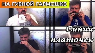 Синий платочек на губной гармошке