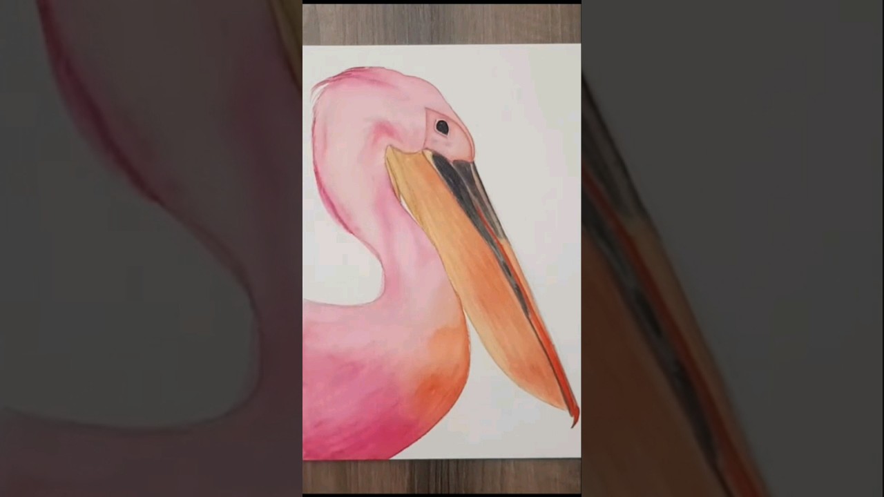 Pelican in Watercolor Easy Watercolor Painting Tutorial for Beginners 