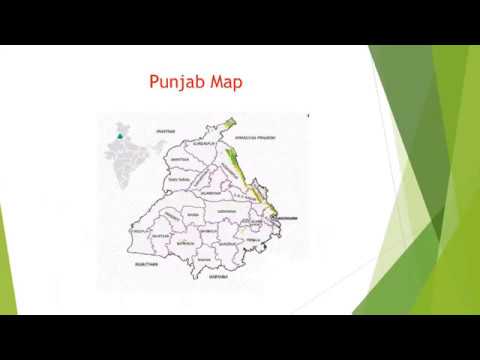 Butterflies of Punjab / Chandigarh (An Overview) - Mr. Swaraj Raj