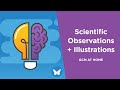 Mastering Scientific Observations Through Art and Nature
