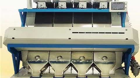 raisins color sorter