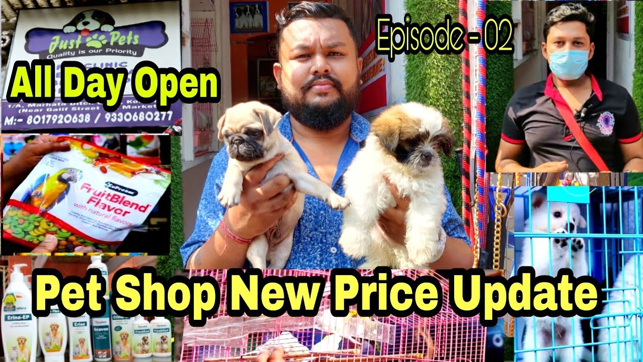 NEW DOG PUPPY SHOP GALIFF STREET PET MARKET | KOLKATA PET SHOP PRICE UPDATE | RECENT PET MARKET Ep-2