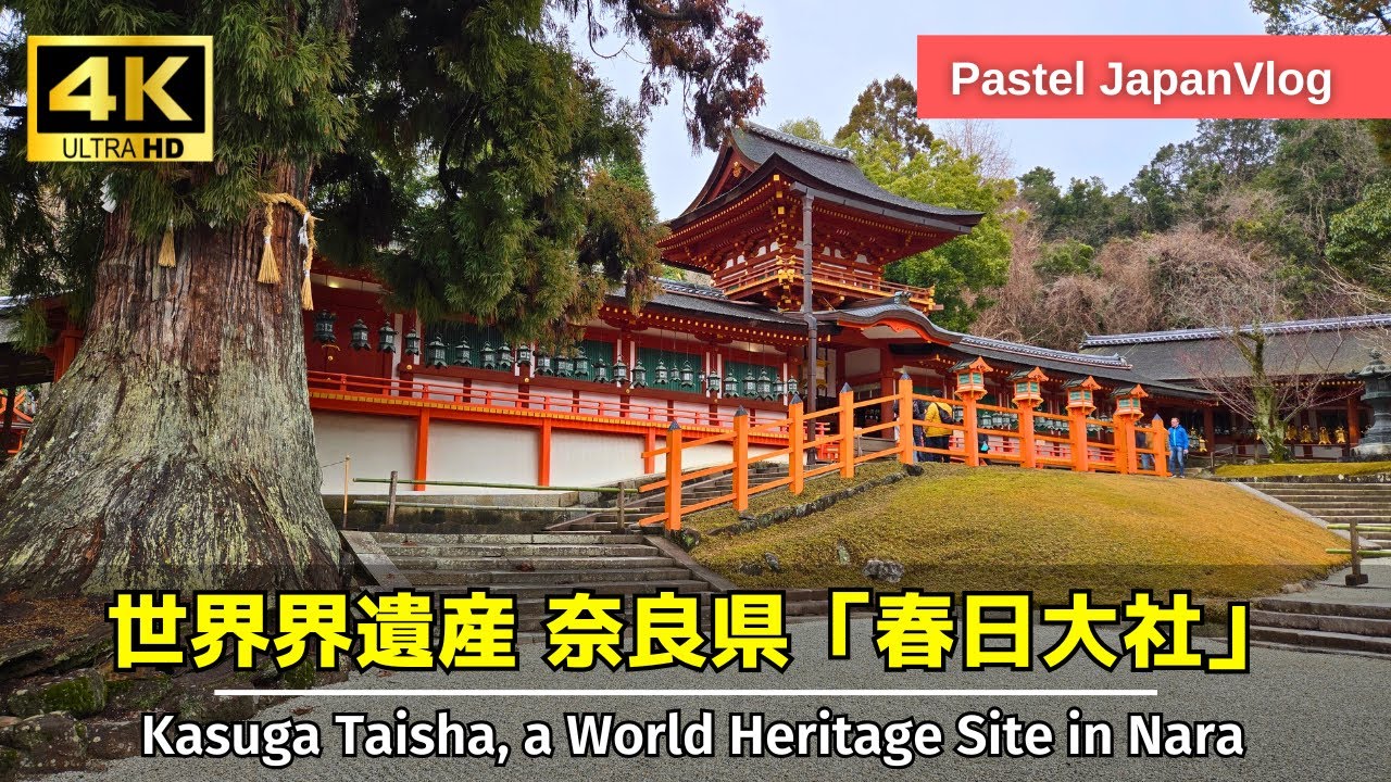 世界遺産】奈良観光必見！春日大社の魅力を徹底散策👢[Nara Tourism