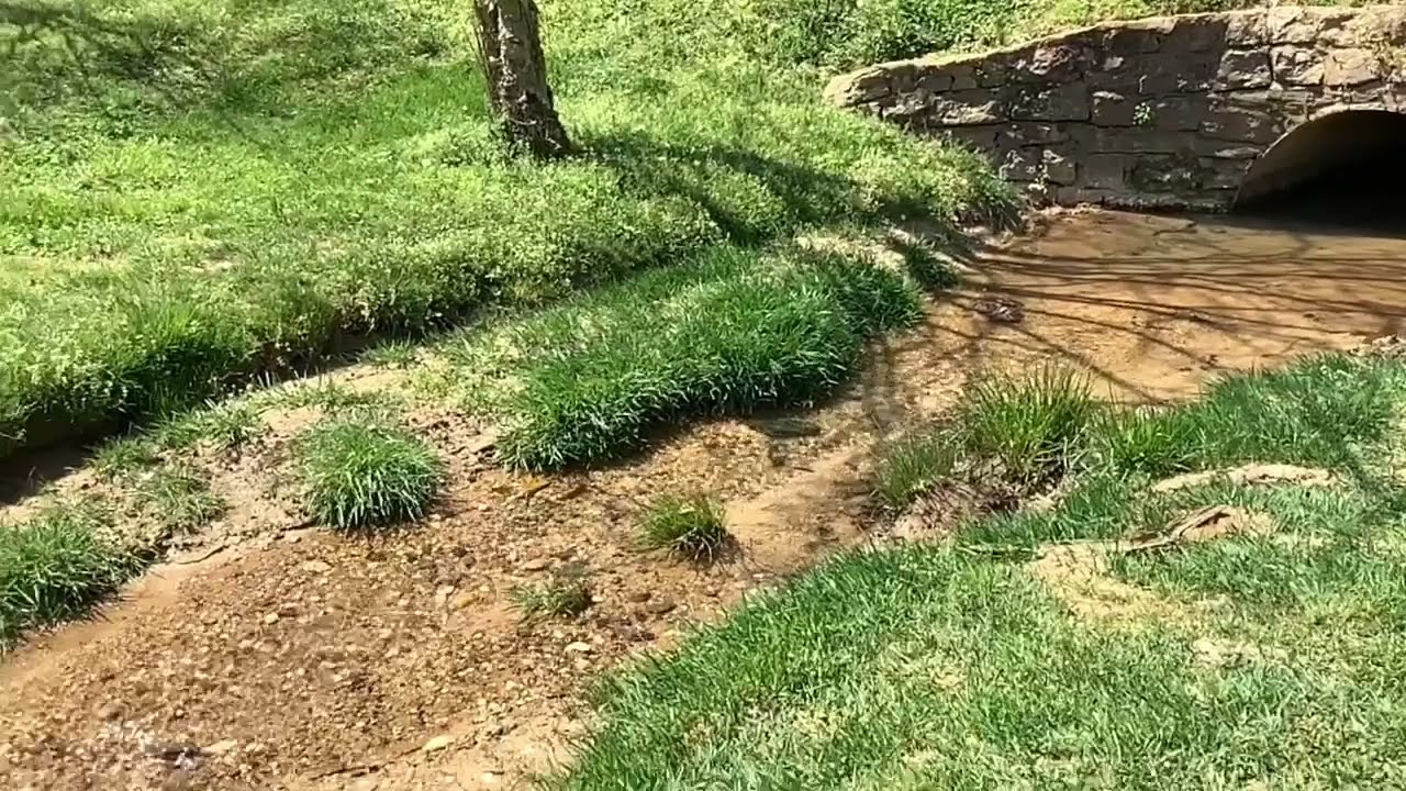 Take a road trip in Cleveland County, North Carolina