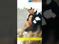 Mohammad Rafi status video Whatsapp Status Video Download Free