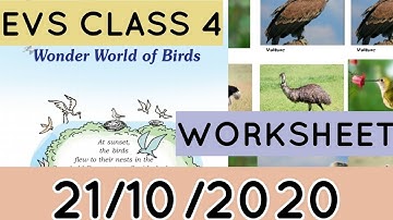 Worksheet|  STD 4 EVS |Class 20|Today