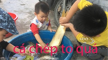 Giải Trí Cho Trẻ Mầm Non |TRÒ CHƠI CÂU CÁ CHO BÉ - BÉ CHƠI BẮT CÁ VUI