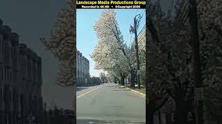 04/12/2026 • SHORT | 5 of 7 | Driving from Middlesex Borough to Bridgewater Township, New Jersey USA