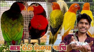 65 টাকায় পাখি কিনুন শ্রীরামপুর হাটে। Serampore Pet Market। Bird Market in Kolkata Price।