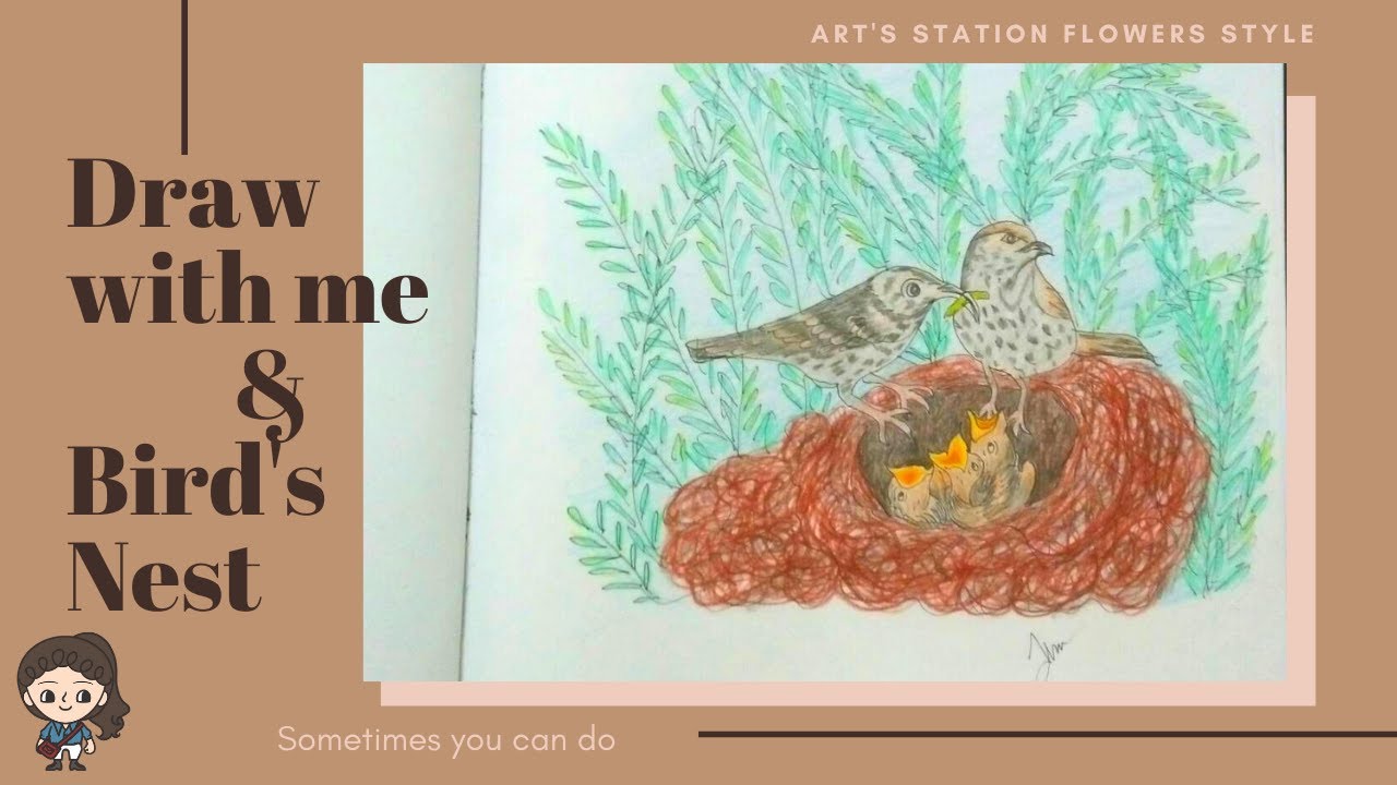 ART'S STATION : สอนวาดภาพรังนก (Draw Animal Style : Bird's Nest) - YouTube