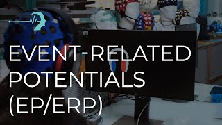Event-related potentials (EP/ERP) in clinical EEG system Neurovisor