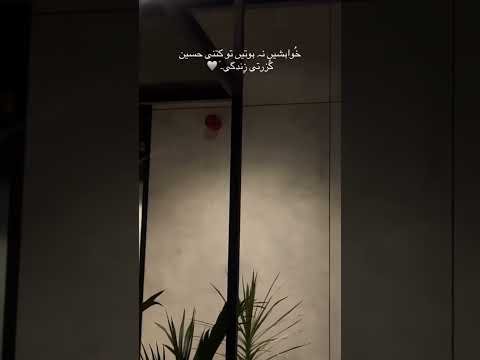 خواہشیں نا ہو تی تو کتنی حسین گزرتی زندگی
