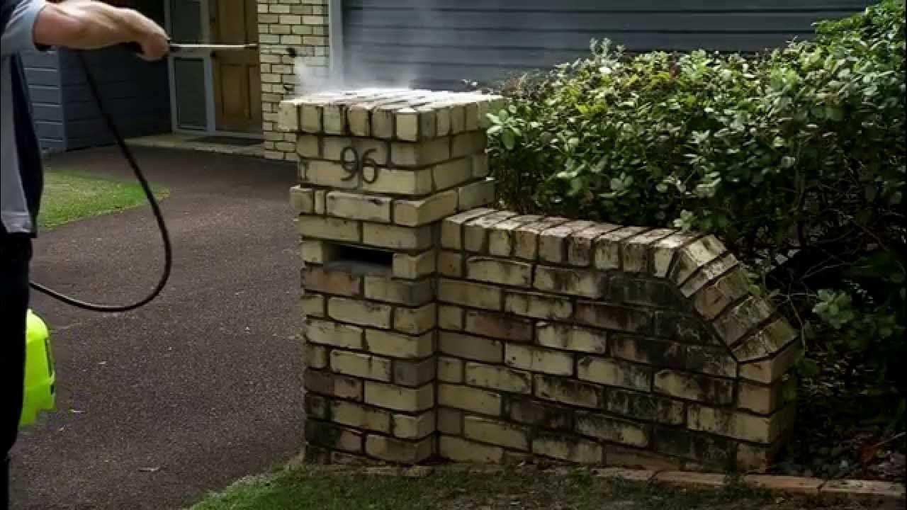 Wet & moss mould & lichen remover YouTube