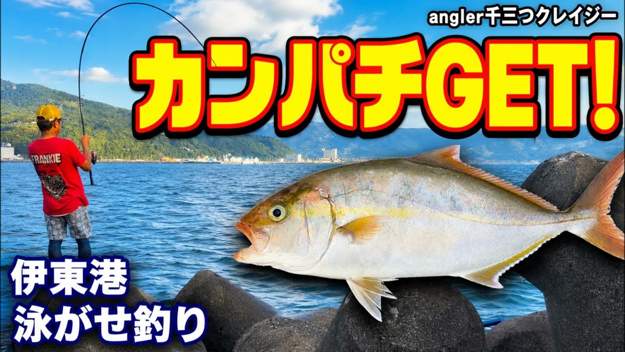 カンパチGET！ - YouTube