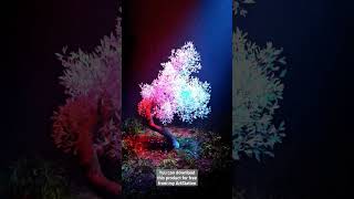 Famous speedtree free 3dmodel #cgl #speedtree #digitalart #3d #art #shorts  #3dmodeling #render #artist Wealth