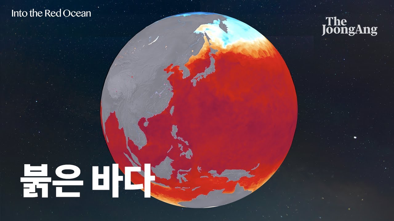 [붉은바다 미니 다큐]울릉도 오징어, 알래스카 대게 사라진 게 다 이것 때문이라고?